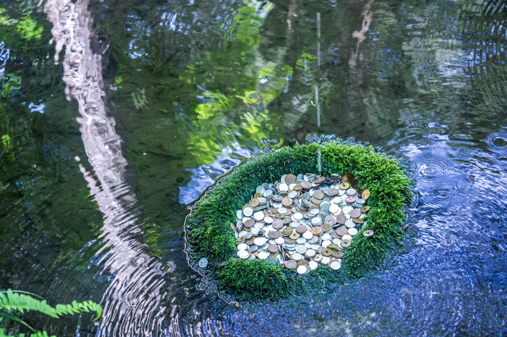 池の小銭