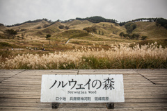 秋の砥峰高原で　Ⅰ
