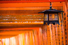 『千本鳥居と雨雫』　Ⅱ