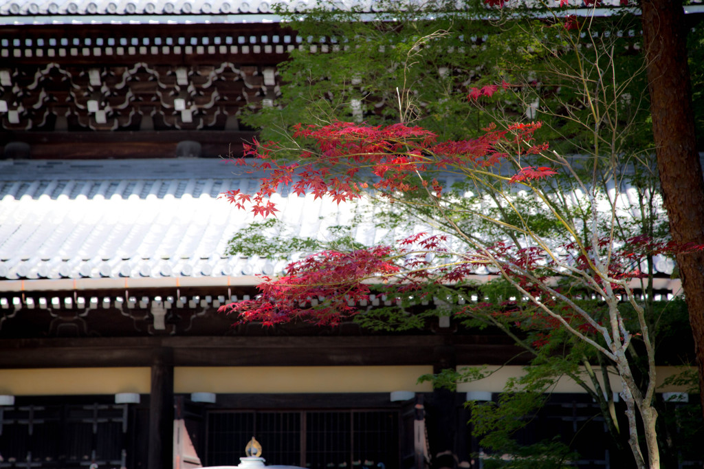 南禅寺法堂の前。