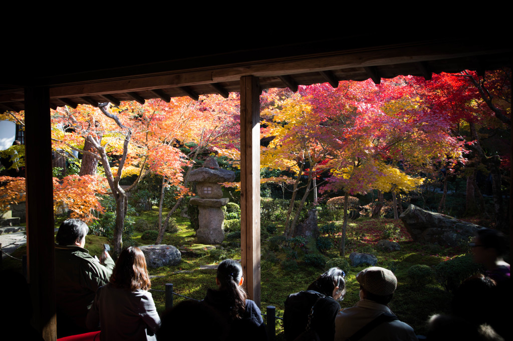 圓光寺　－十牛之庭を愛でる