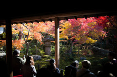 圓光寺　－十牛之庭を愛でる