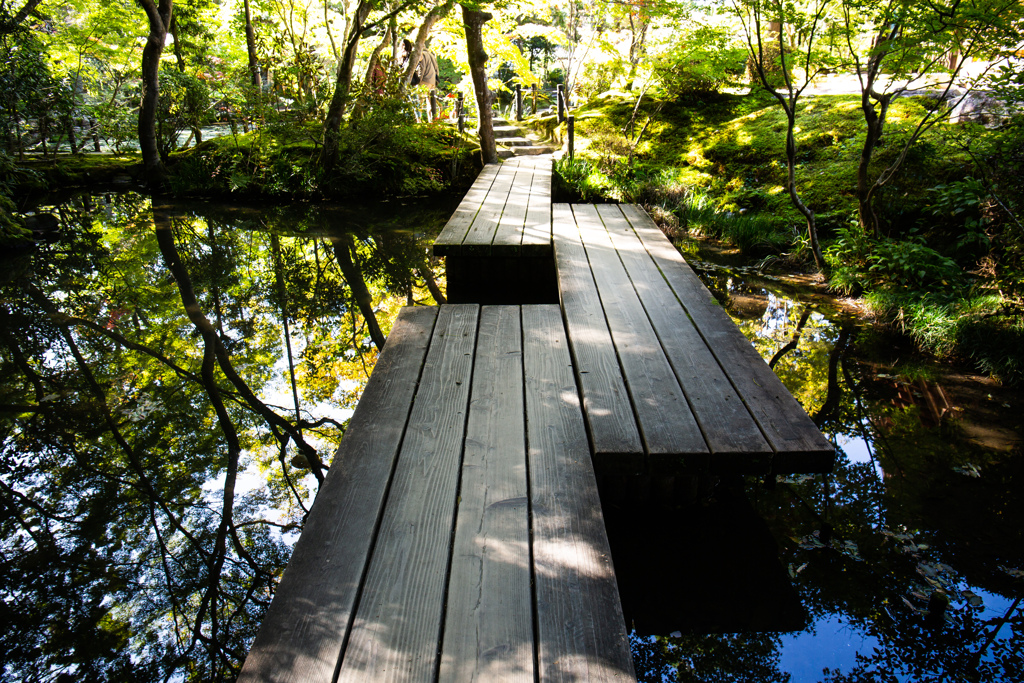秋の天授庵で　Ⅶ