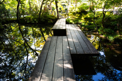 秋の天授庵で　Ⅶ