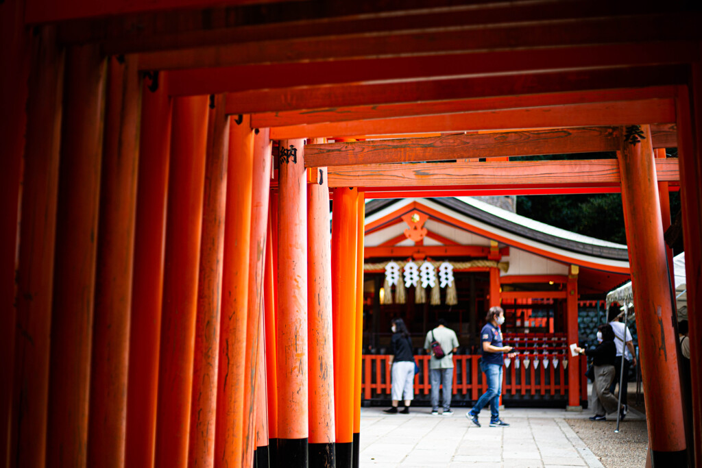 千本鳥居　Ⅹ