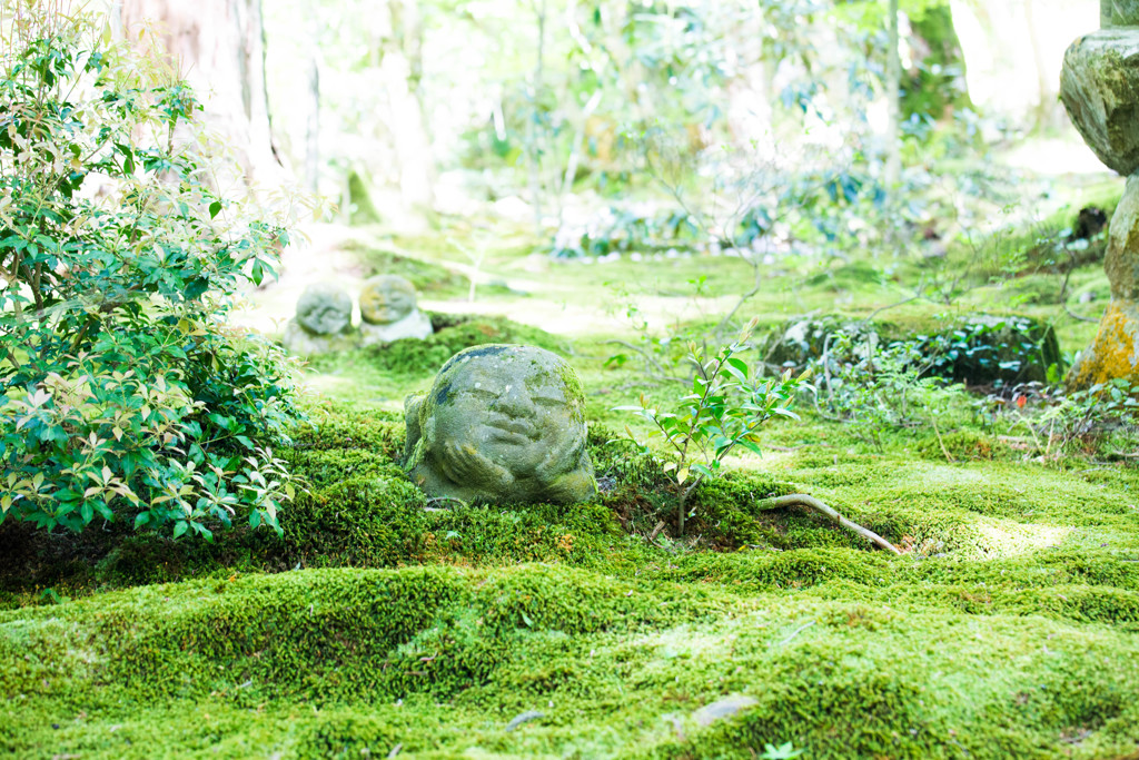 三千院でほっこり　Ⅲ