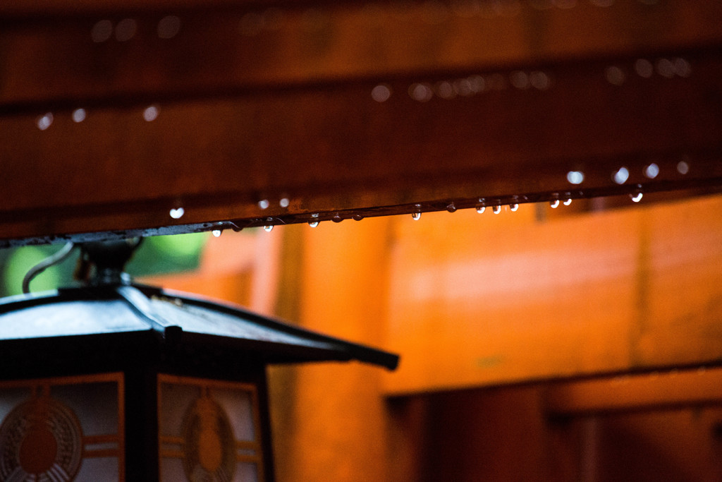 『千本鳥居と雨雫』