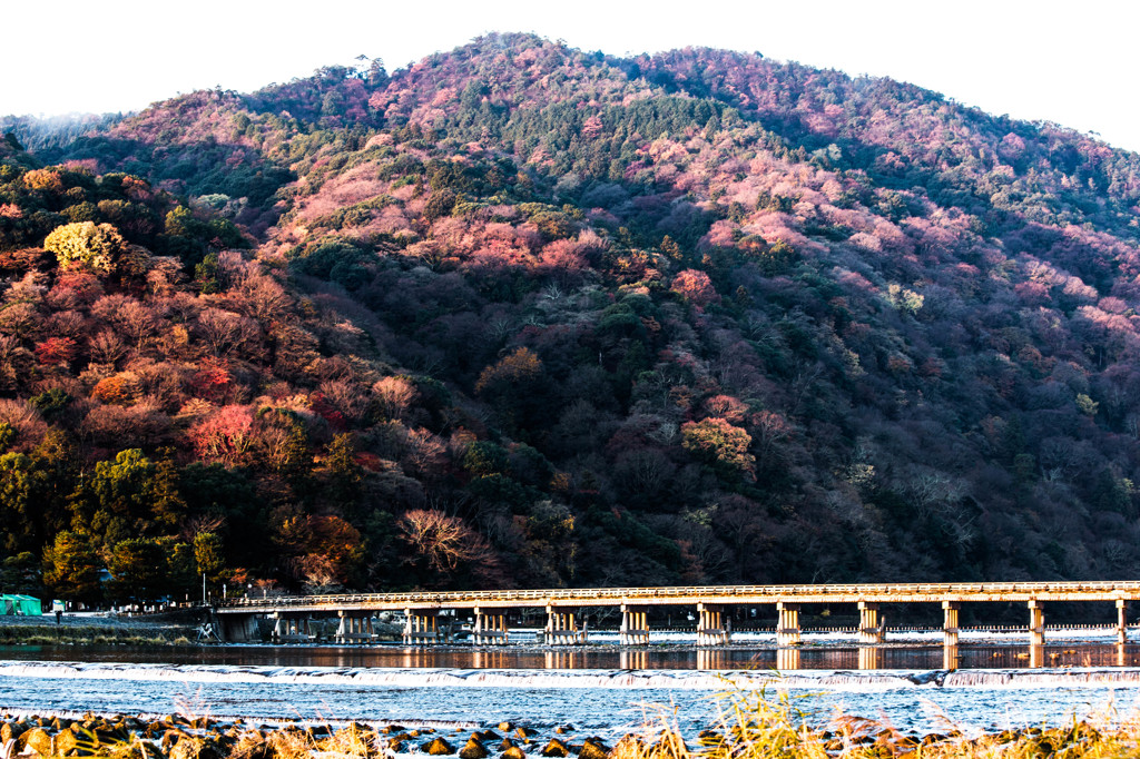 晩秋の嵐山　Ⅶ
