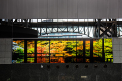 京都駅の秋景色
