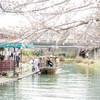 十石舟のある春景色　Ⅶ