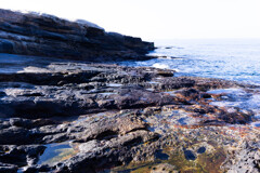 白浜の千畳敷で　Ⅳ