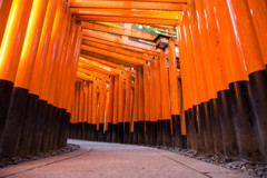 鳥居のトンネルを進む。
