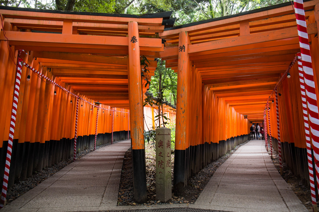 伏見稲荷の朝　Ⅳ　