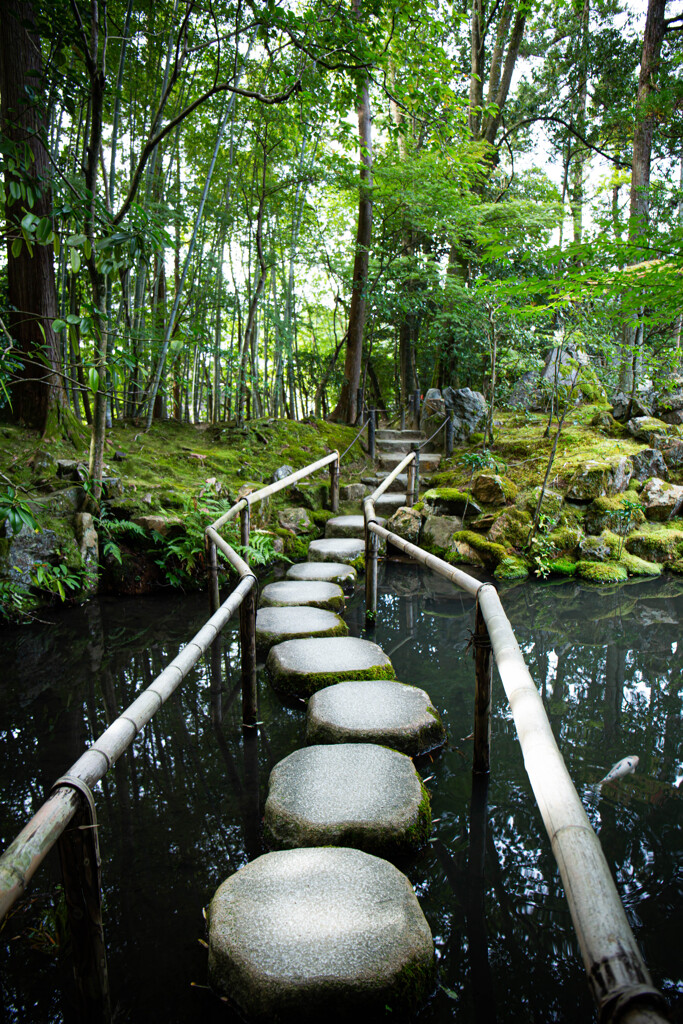 天授庵庭園の池　Ⅳ