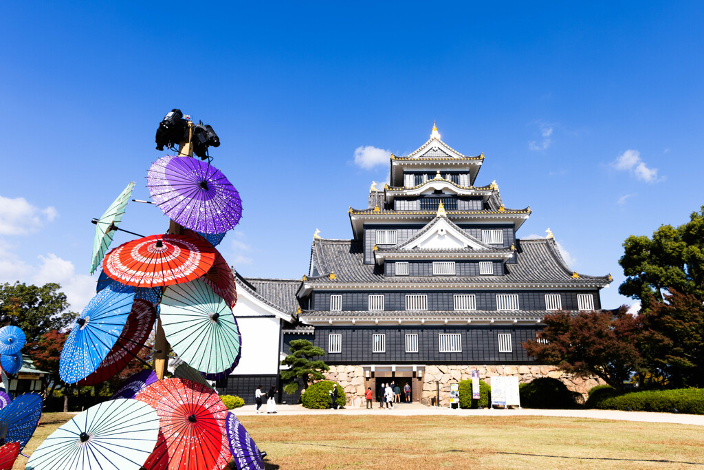 晴れた日の岡山城