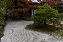 天授庵枯山水の秋景色