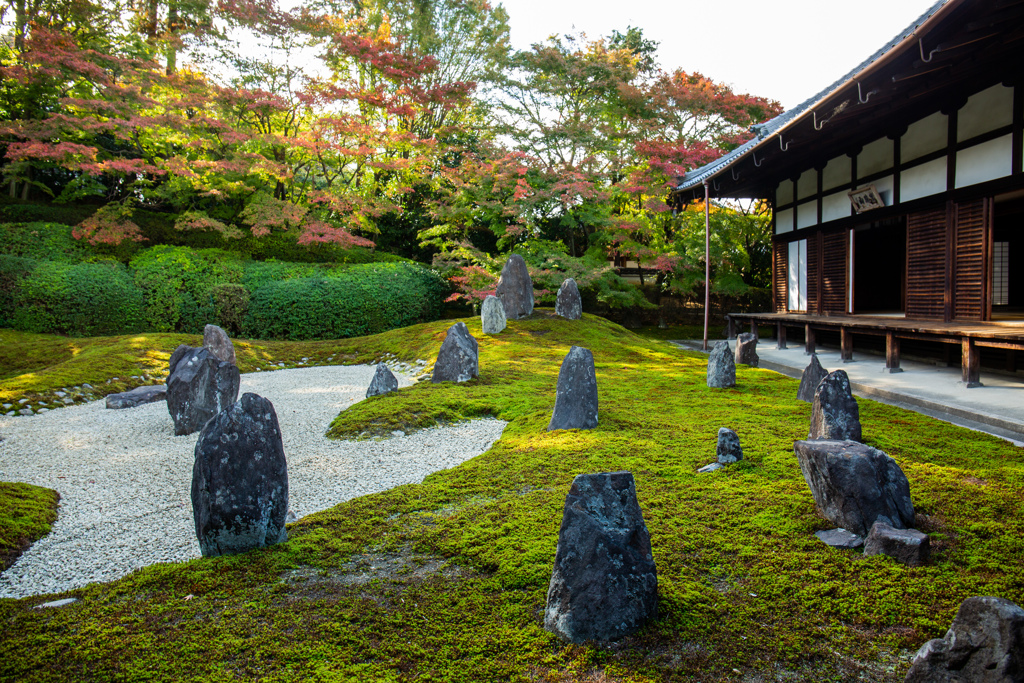 晩秋の光明院にて　Ⅵ