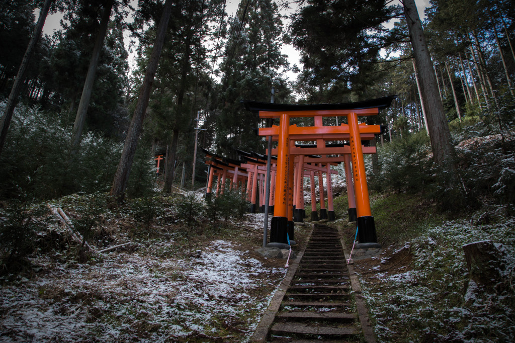 稲荷山の鳥居。