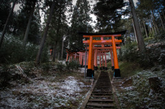稲荷山の鳥居。