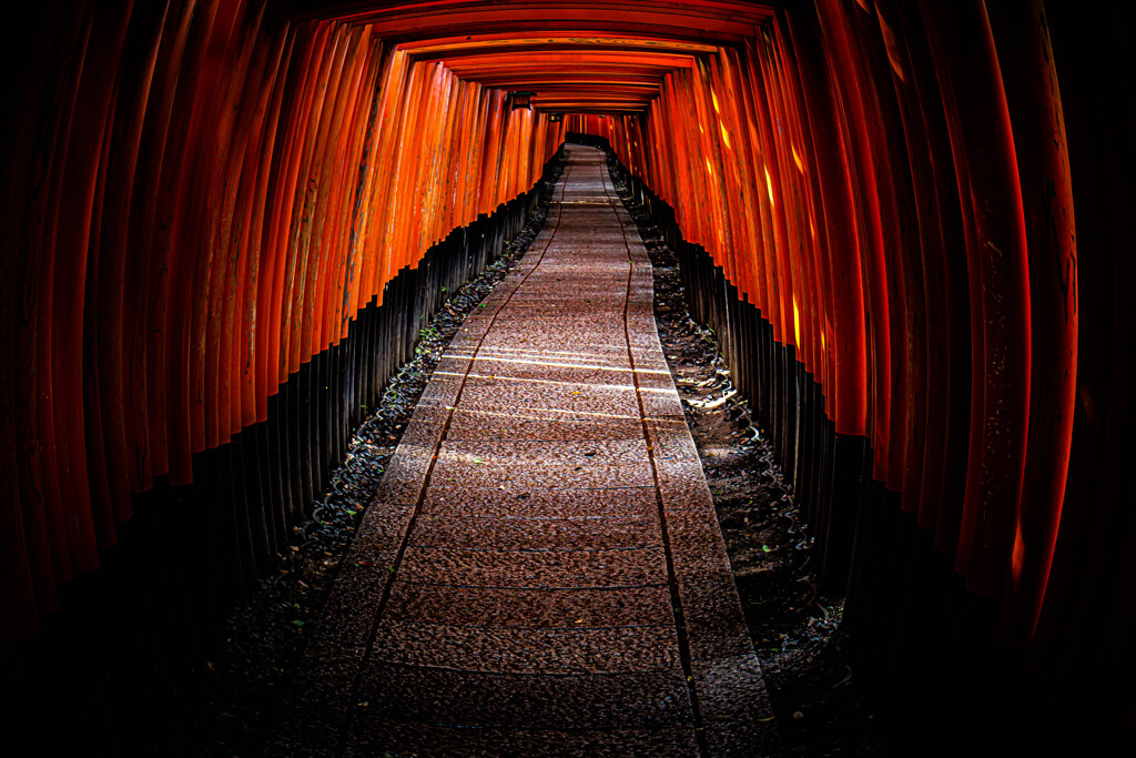 『タイムトンネル』