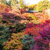 晩秋の東福寺