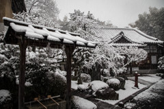 元日の荒木神社