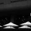 公園のCafe