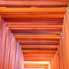京の朱のトンネル　Ⅰ