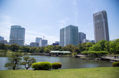 浜離宮恩賜庭園で。　Ⅰ