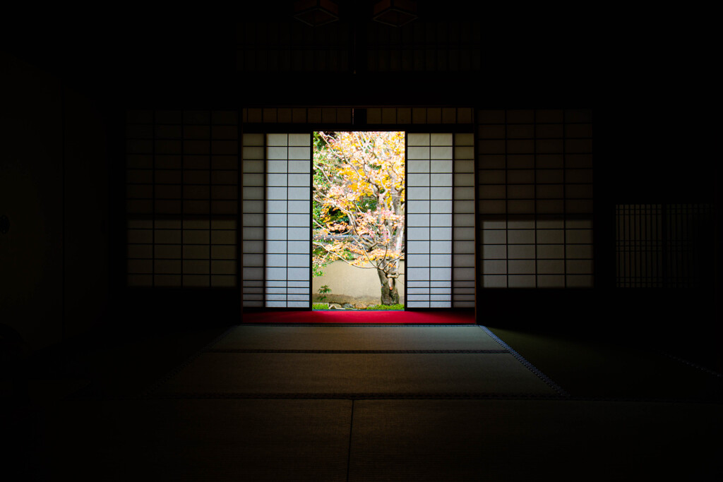 雲龍院で紅葉を愛でる　Ⅲ