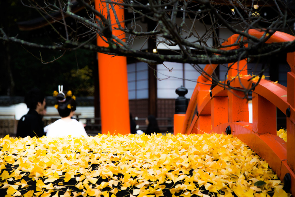 下鴨神社・2014秋　Ⅴ