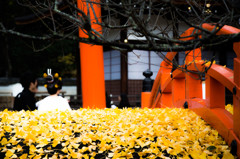 下鴨神社・2014秋　Ⅴ