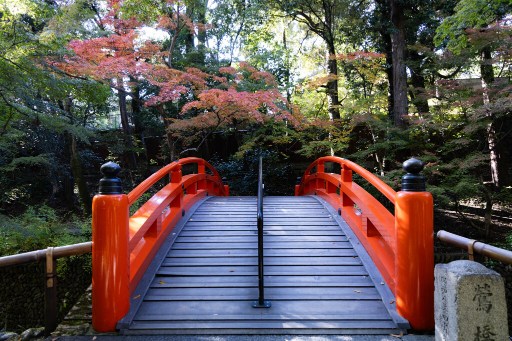 北野天満宮もみじ苑にて