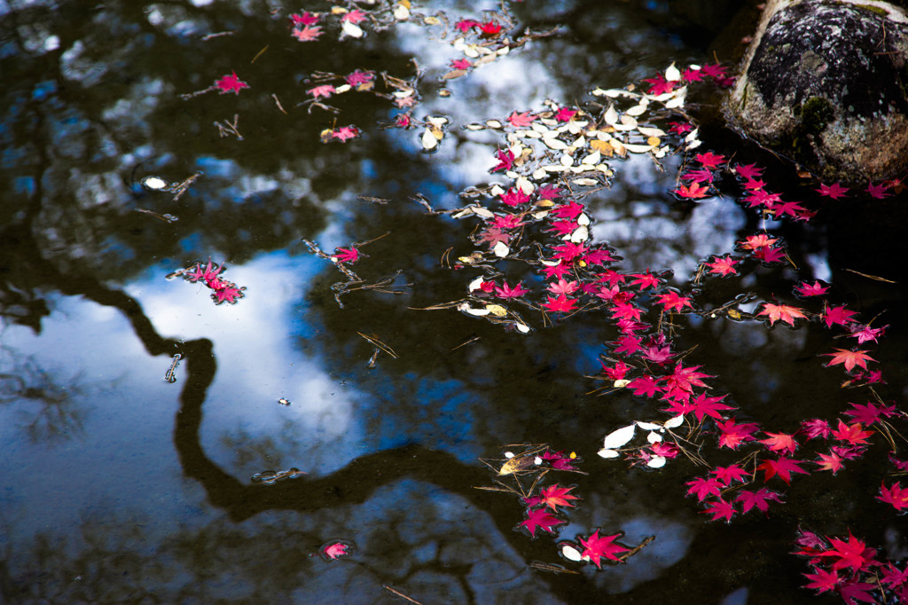 銀閣寺・2014秋　Ⅱ