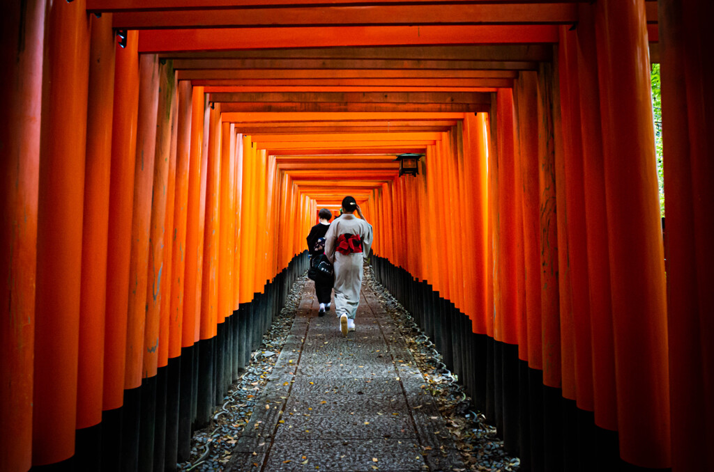 千本鳥居の雅