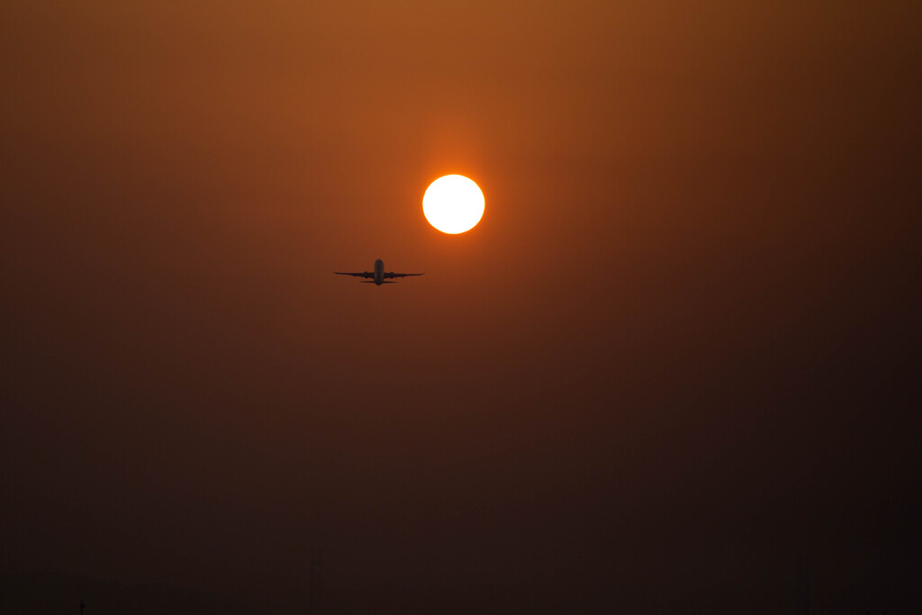 Fly high !!!