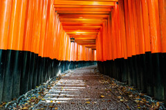 千本鳥居を進む