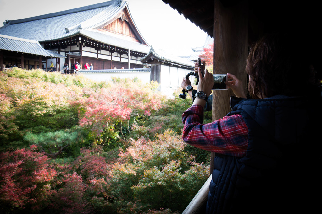 通天橋から紅葉を撮る。