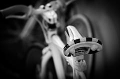 Saddle