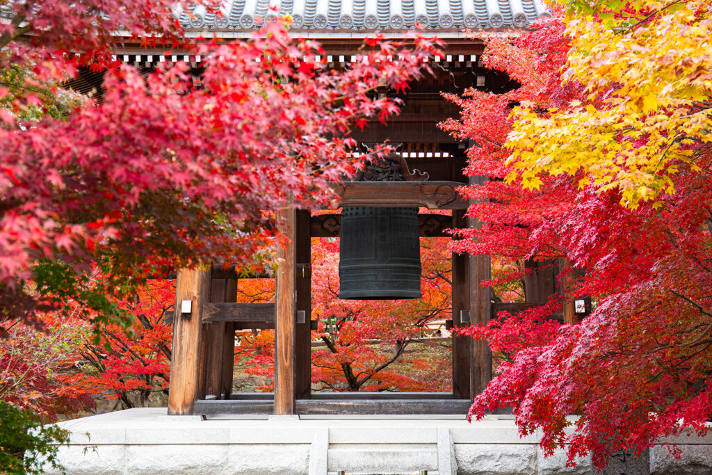 智積院の紅葉　Ⅰ