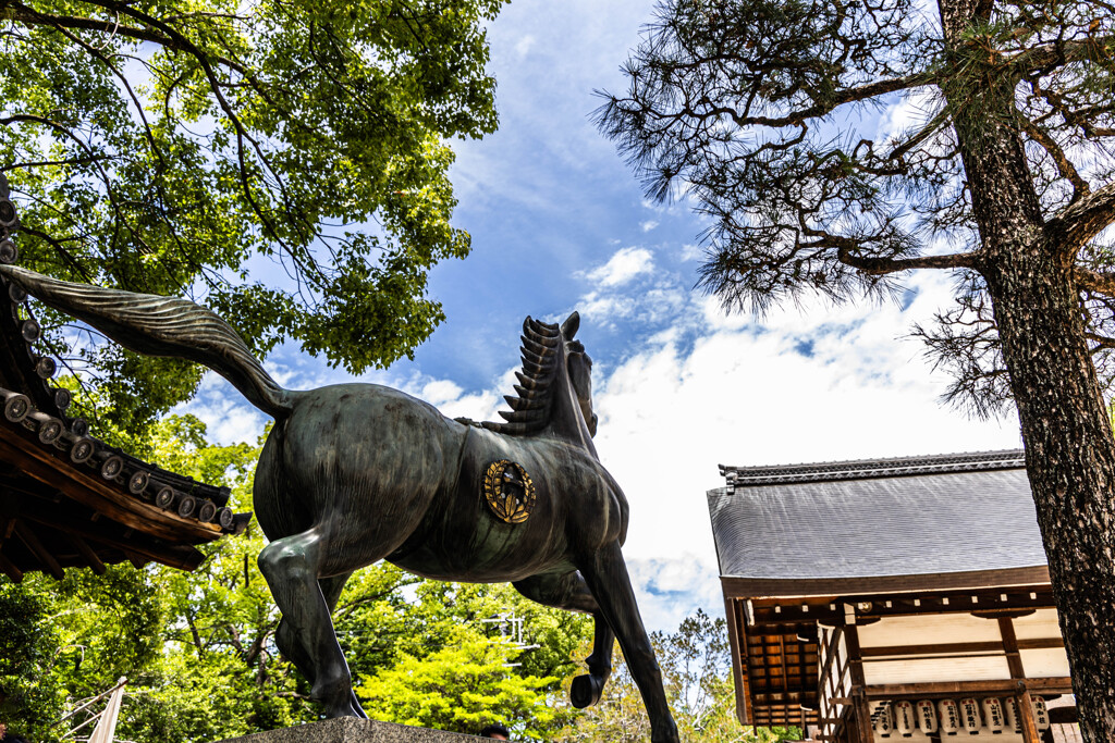 藤森神社に駆ける勝馬