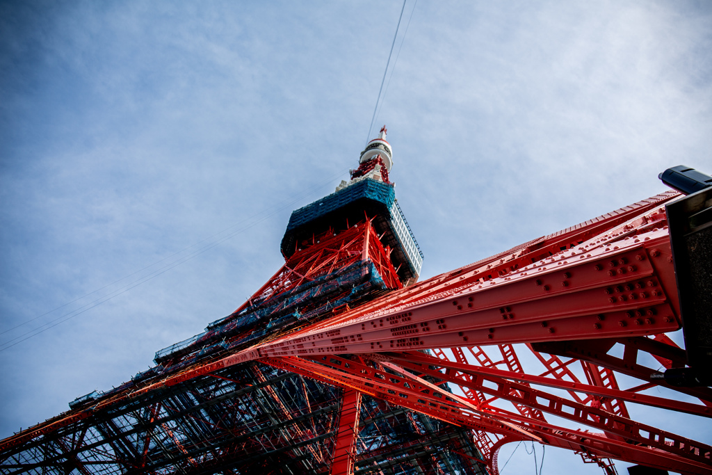 聳え建つ。