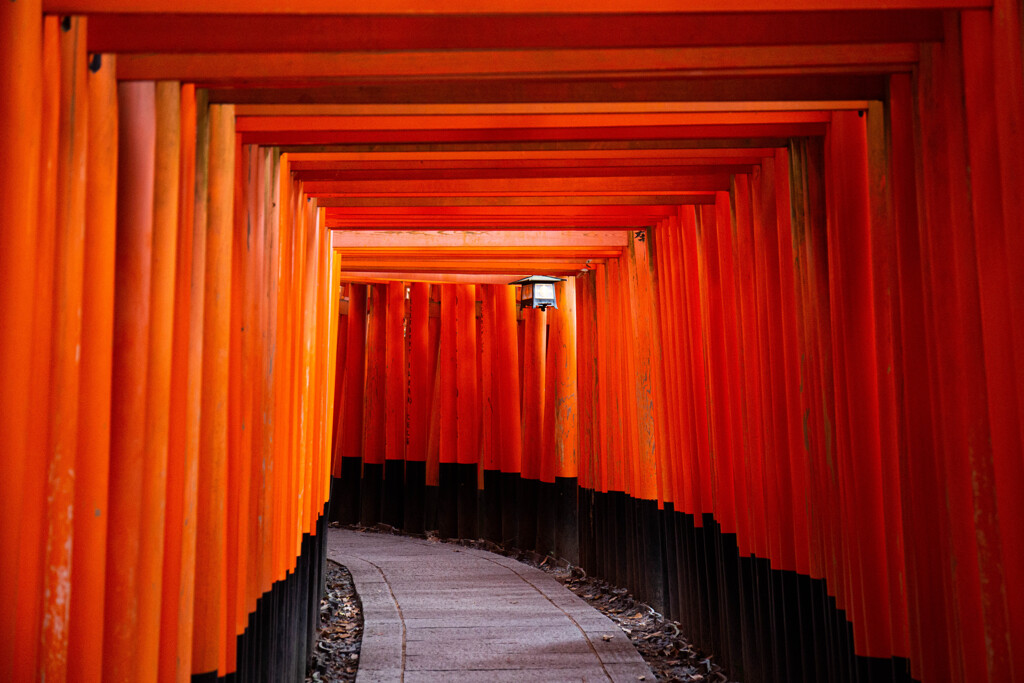 千本鳥居にて　Ⅵ