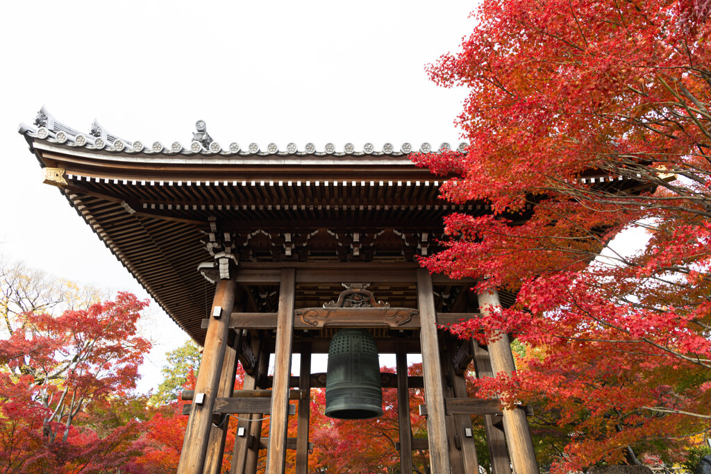 智積院の紅葉　Ⅰ