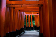 大きな鳥居の連なり　Ⅲ