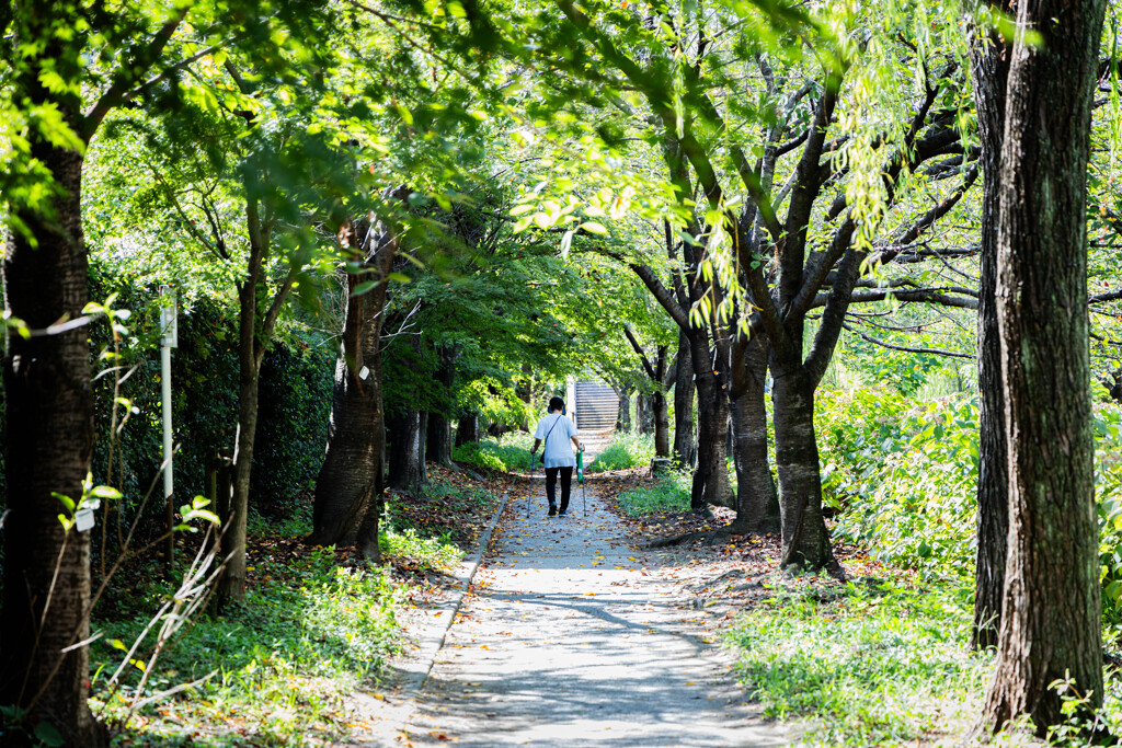 9月、真夏日の散歩