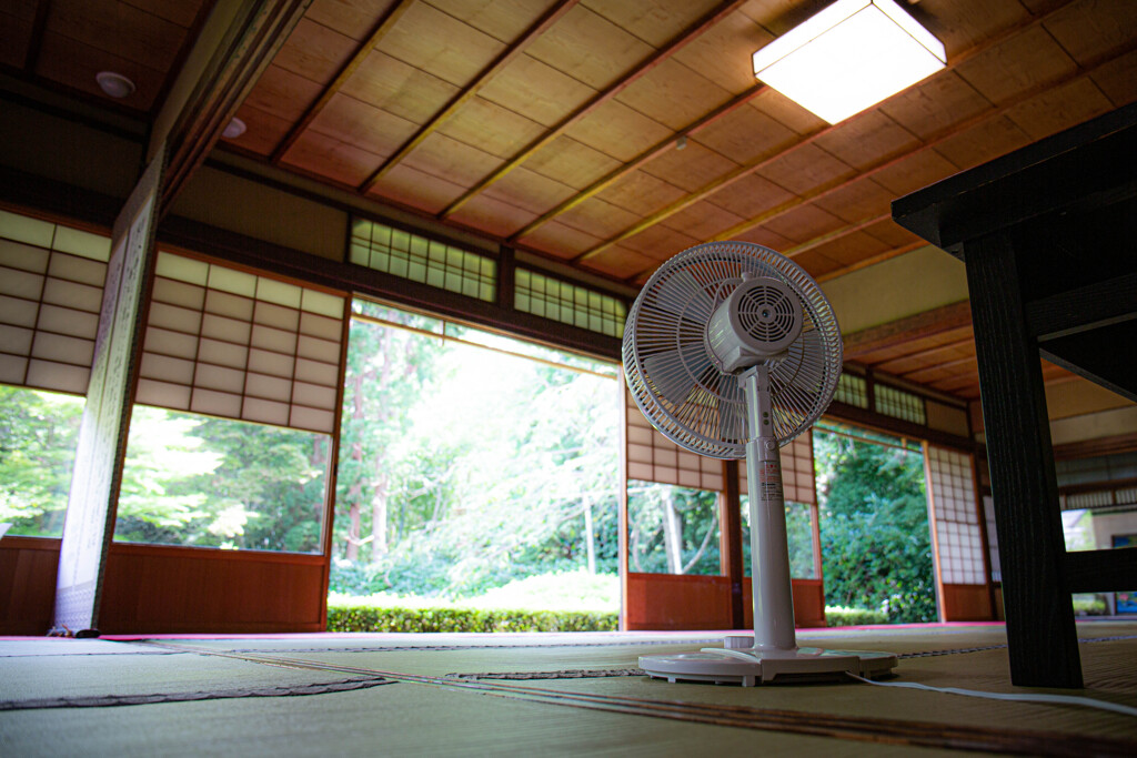 夏・雲龍院大輪の間で　Ⅰ