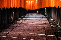 朝の千本鳥居で　Ⅴ
