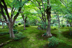 圓光寺にて　Ⅲ