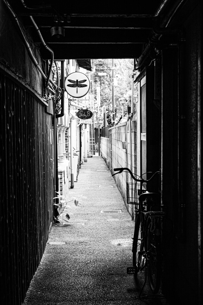 『トンボの路地』②